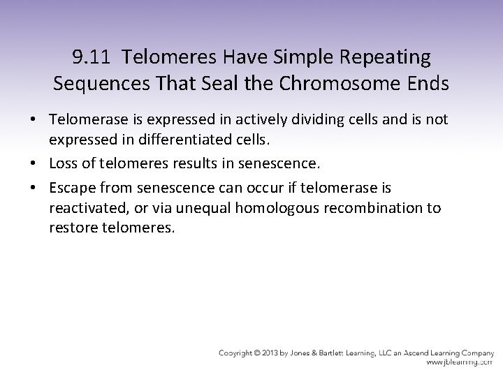 9. 11 Telomeres Have Simple Repeating Sequences That Seal the Chromosome Ends • Telomerase