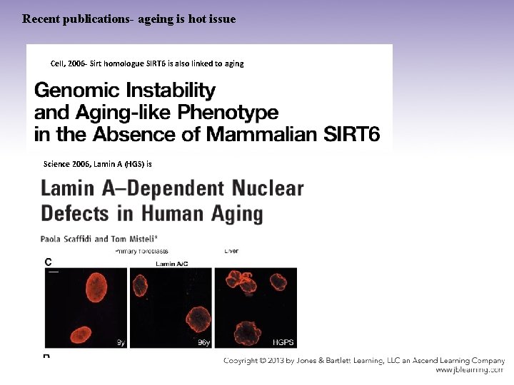 Recent publications- ageing is hot issue Cell, 2006 - Sirt homologue SIRT 6 is