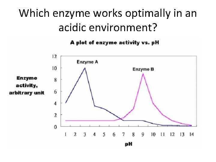 Which enzyme works optimally in an acidic environment? 