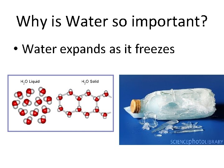 Why is Water so important? • Water expands as it freezes 