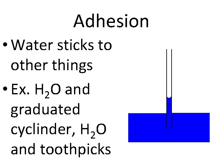 Adhesion • Water sticks to other things • Ex. H 2 O and graduated