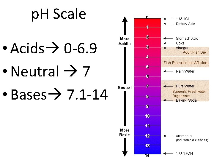 p. H Scale • Acids 0 -6. 9 • Neutral 7 • Bases 7.