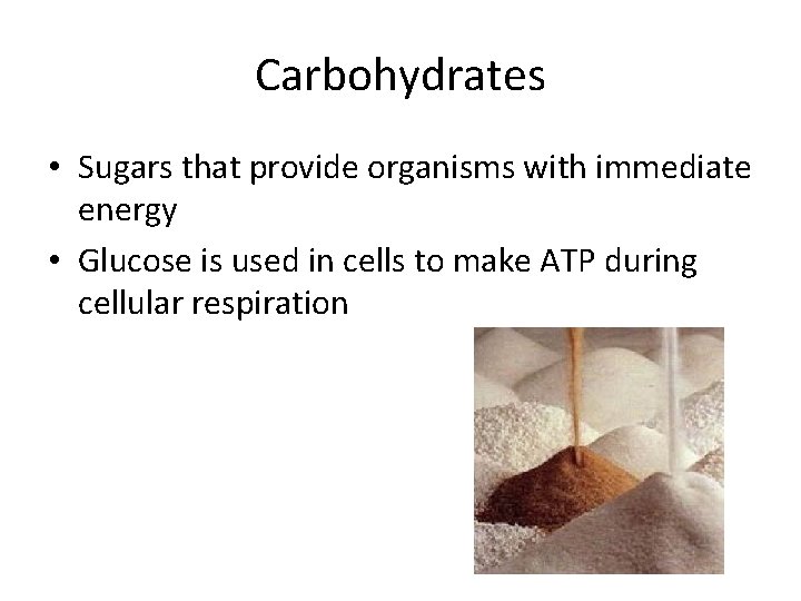 Carbohydrates • Sugars that provide organisms with immediate energy • Glucose is used in