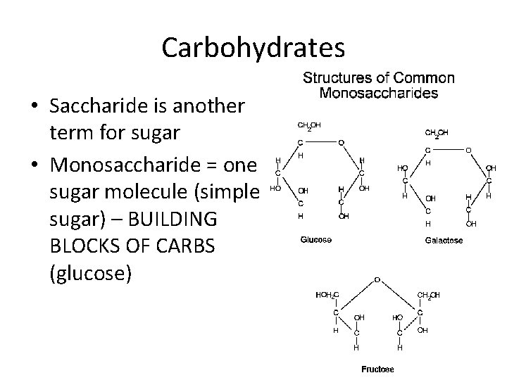 Carbohydrates • Saccharide is another term for sugar • Monosaccharide = one sugar molecule