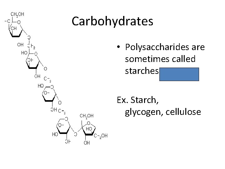 Carbohydrates • Polysaccharides are sometimes called starches Ex. Starch, glycogen, cellulose 