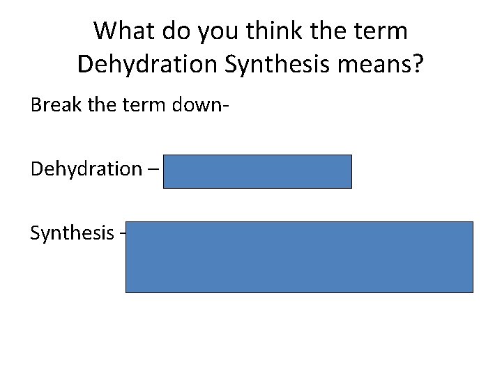 What do you think the term Dehydration Synthesis means? Break the term down. Dehydration