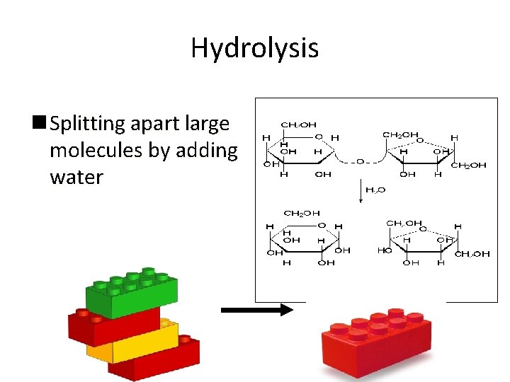 Hydrolysis n Splitting apart large molecules by adding water 