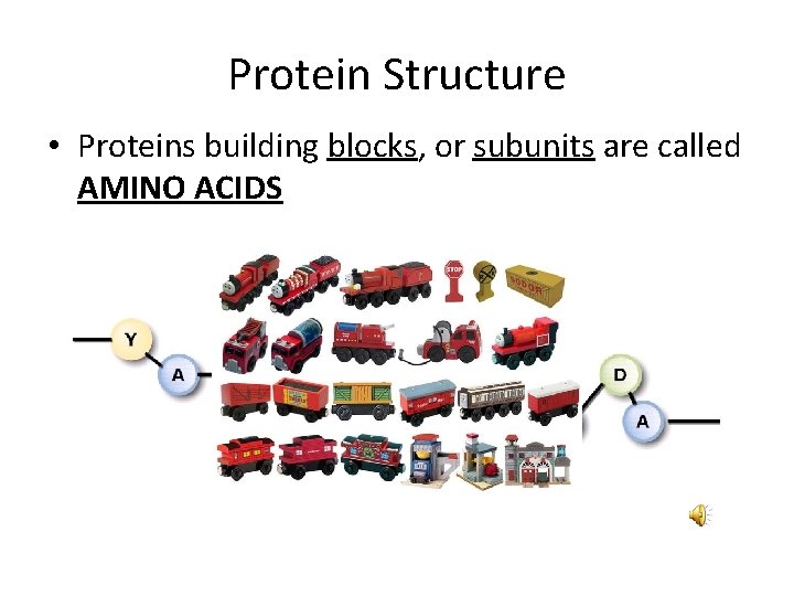 Protein Structure • Proteins building blocks, or subunits are called AMINO ACIDS 