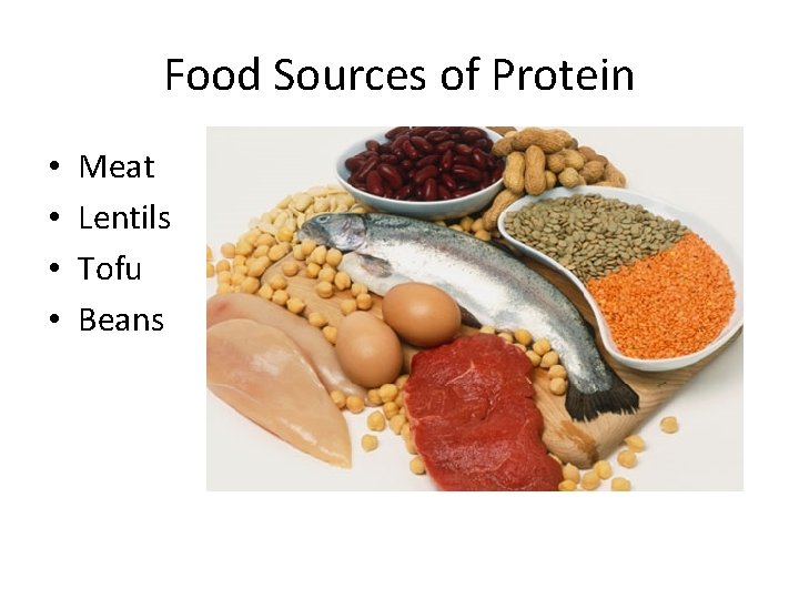 Food Sources of Protein • • Meat Lentils Tofu Beans 