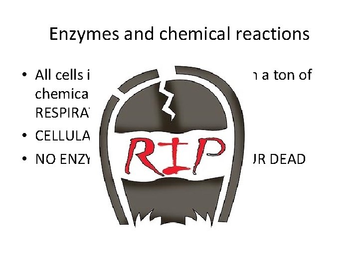 Enzymes and chemical reactions • All cells in particular ours, perform a ton of