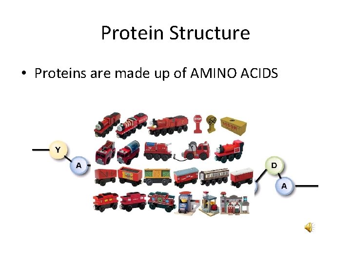 Protein Structure • Proteins are made up of AMINO ACIDS 