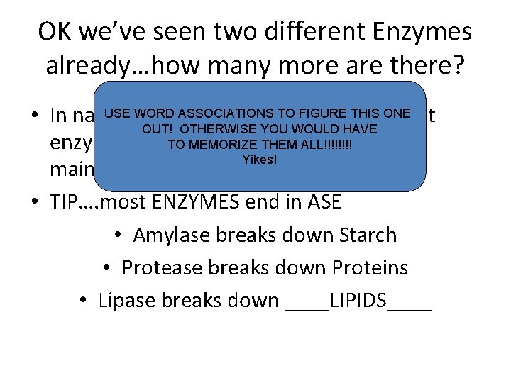 OK we’ve seen two different Enzymes already…how many more are there? USE WORD TO