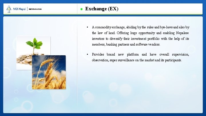 PRESENTATION Exchange (EX) • A commodity exchange, abiding by the rules and bye-laws and