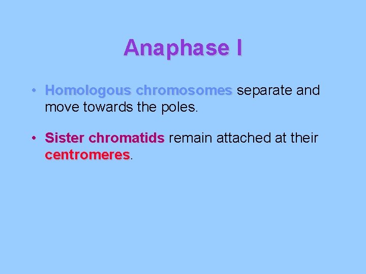 Anaphase I • Homologous chromosomes separate and move towards the poles. • Sister chromatids Anaphase I • Homologous chromosomes separate and move towards the poles. • Sister chromatids