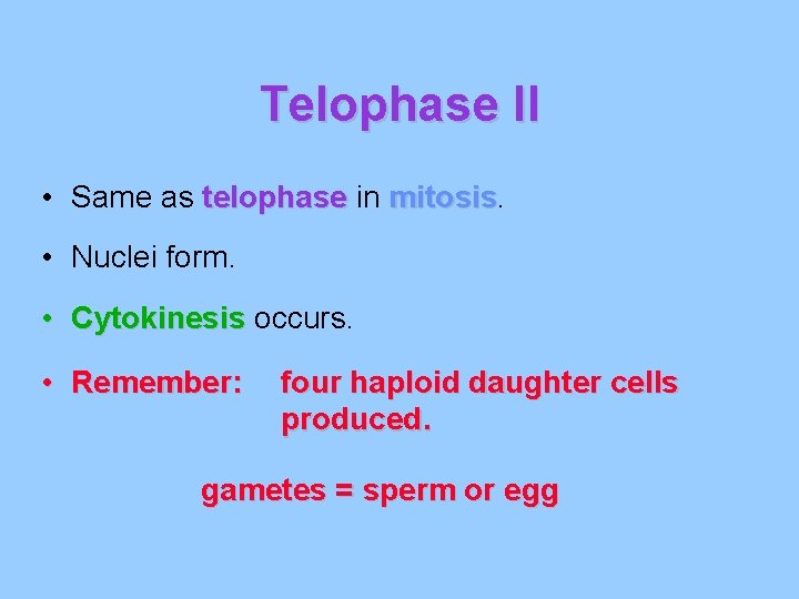 Telophase II • Same as telophase in mitosis • Nuclei form. • Cytokinesis occurs.