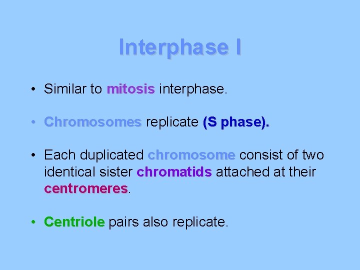 Interphase I • Similar to mitosis interphase. • Chromosomes replicate (S phase). • Each Interphase I • Similar to mitosis interphase. • Chromosomes replicate (S phase). • Each