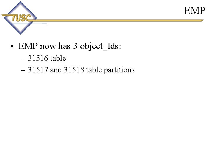 EMP • EMP now has 3 object_Ids: – 31516 table – 31517 and 31518