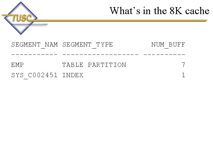 What’s in the 8 K cache SEGMENT_NAM -----EMP SYS_C 002451 SEGMENT_TYPE NUM_BUFF ---------TABLE PARTITION