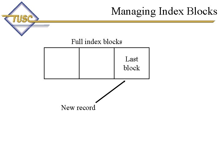 Managing Index Blocks Full index blocks Last block New record 12 