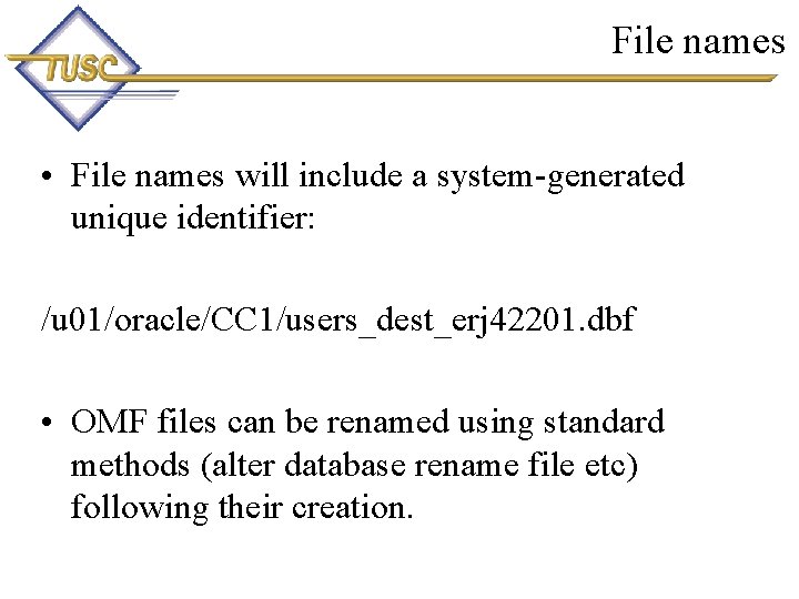 File names • File names will include a system-generated unique identifier: /u 01/oracle/CC 1/users_dest_erj