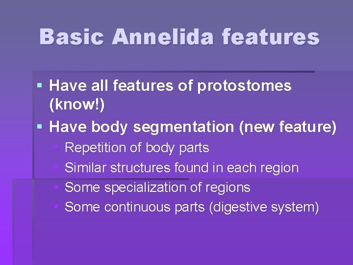 Basic Annelida features § Have all features of protostomes (know!) § Have body segmentation
