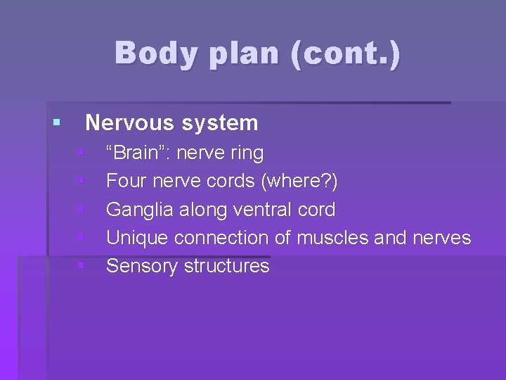 Body plan (cont. ) § Nervous system § § § “Brain”: nerve ring Four