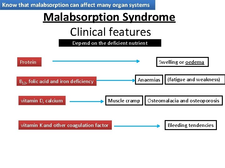 Know that malabsorption can affect many organ systems Malabsorption Syndrome Clinical features Depend on