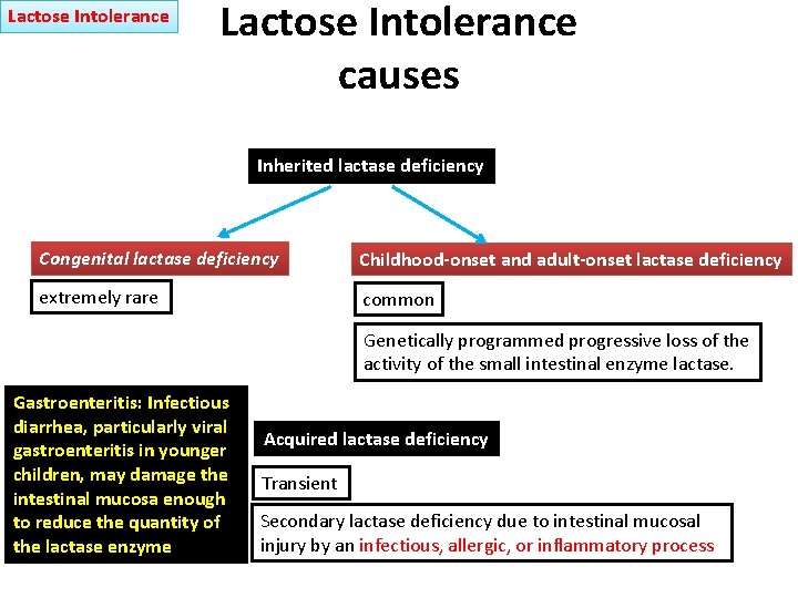 Lactose Intolerance causes Inherited lactase deficiency Congenital lactase deficiency Childhood-onset and adult-onset lactase deficiency