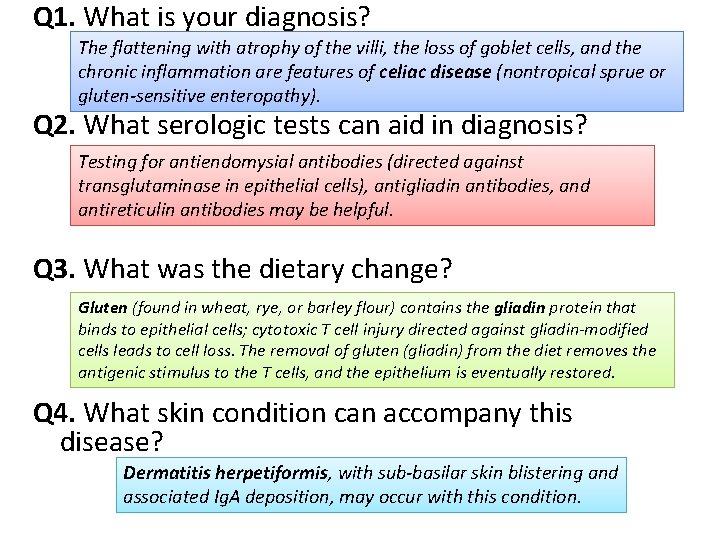 Q 1. What is your diagnosis? The flattening with atrophy of the villi, the