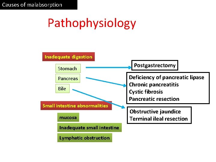 Causes of malabsorption Pathophysiology Inadequate digestion Stomach Pancreas Bile Small intestine abnormalities mucosa Inadequate