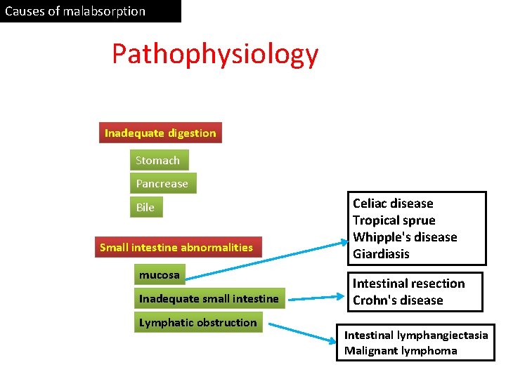 Causes of malabsorption Pathophysiology Inadequate digestion Stomach Pancrease Bile Small intestine abnormalities mucosa Inadequate
