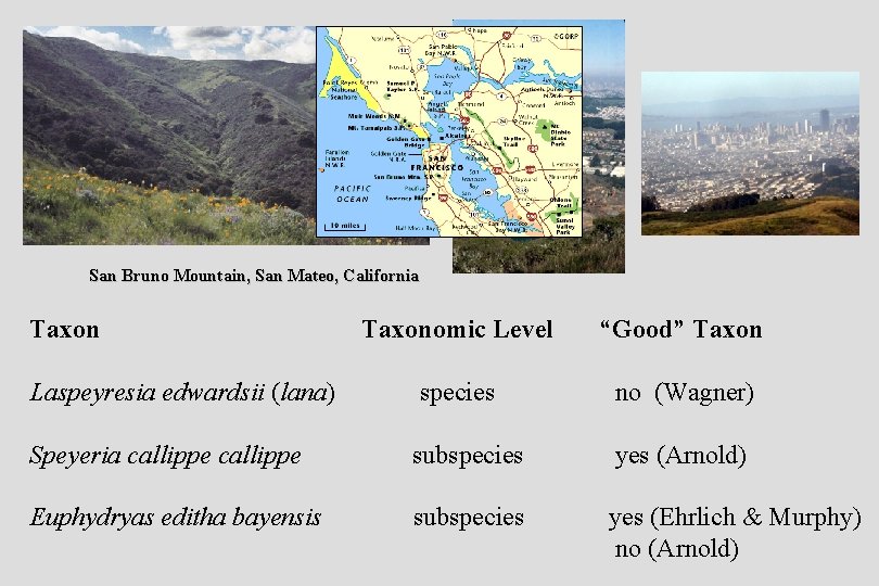 San Bruno Mountain, San Mateo, California Taxonomic Level “Good” Taxon Laspeyresia edwardsii (lana) species