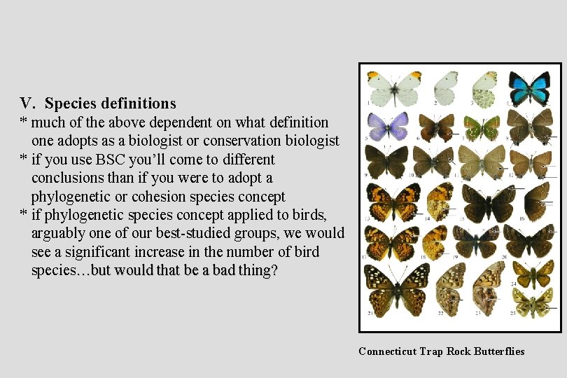 V. Species definitions * much of the above dependent on what definition one adopts