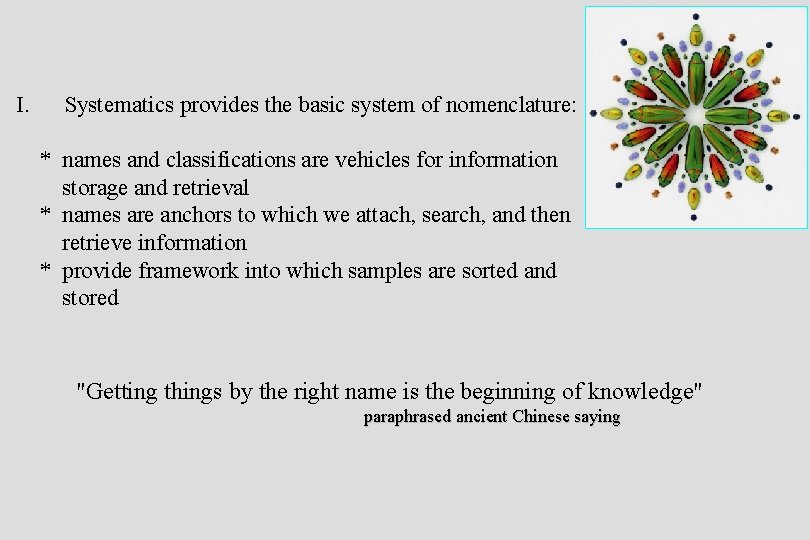 I. Systematics provides the basic system of nomenclature: * names and classifications are vehicles