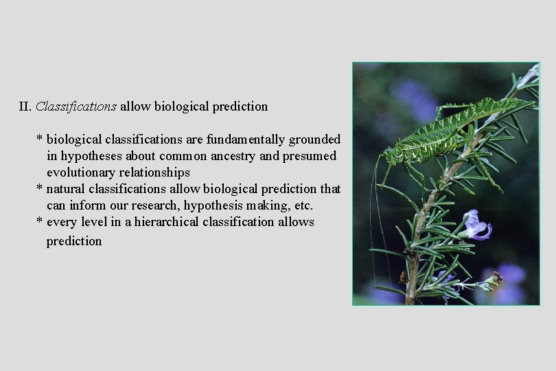 II. Classifications allow biological prediction * biological classifications are fundamentally grounded in hypotheses about