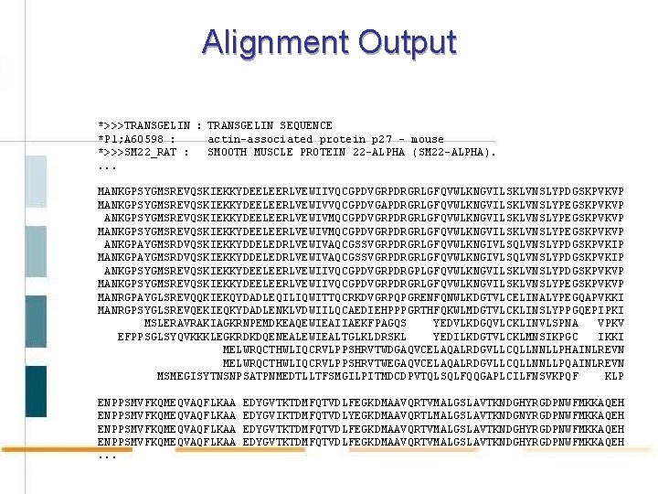 Alignment Output *>>>TRANSGELIN : TRANSGELIN SEQUENCE *P 1; A 60598 : actin-associated protein p