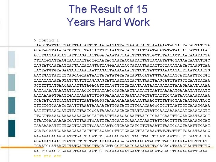 The Result of 15 Years Hard Work > contig 1 TAAGTTATTATTTAGTTAATACTTTTAACAATATTATTAAGGTATTTAAAAAATACTATTATAGTATTTA ACATAGTTAAATACCTTAATACTGTTAAATTATATTCAATACATATATAATATTATTAAAAT ACTTGATAAGTATTATTTAGATATTAGACAAATACTAATTTTATATTGCTTTAATACTTAATACTA CTTATGTATTAAGTAAATATTACTGTAATACTAATAACAATATTATTACAATATGCTAGAATAATATTGC