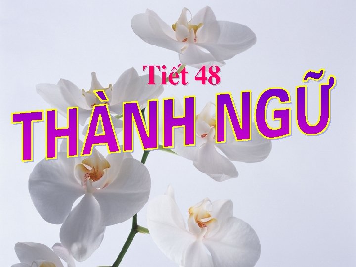 TiÕt 48 