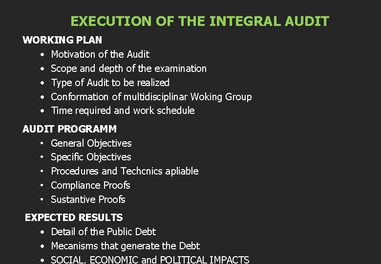 EXECUTION OF THE INTEGRAL AUDIT WORKING PLAN • Motivation of the Audit • Scope