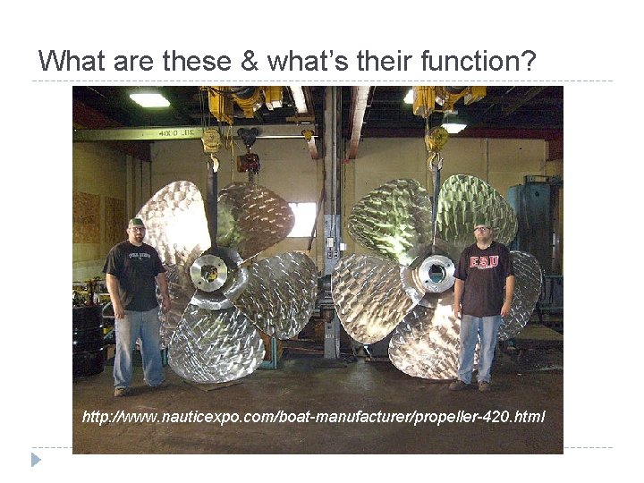 What are these & what’s their function? http: //www. nauticexpo. com/boat-manufacturer/propeller-420. html 