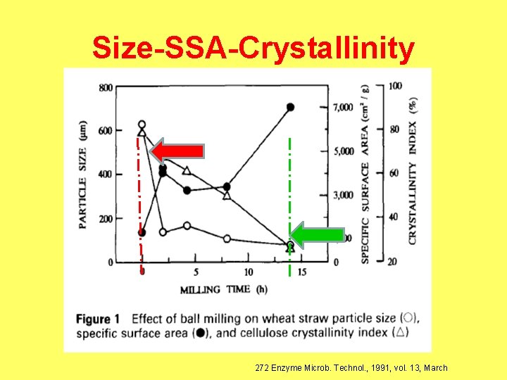 Size-SSA-Crystallinity 272 Enzyme Microb. Technol. , 1991, vol. 13, March 