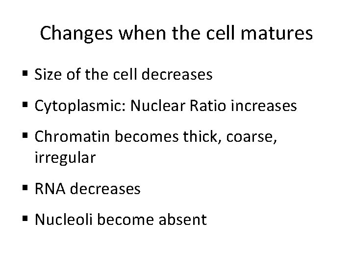 Changes when the cell matures § Size of the cell decreases § Cytoplasmic: Nuclear