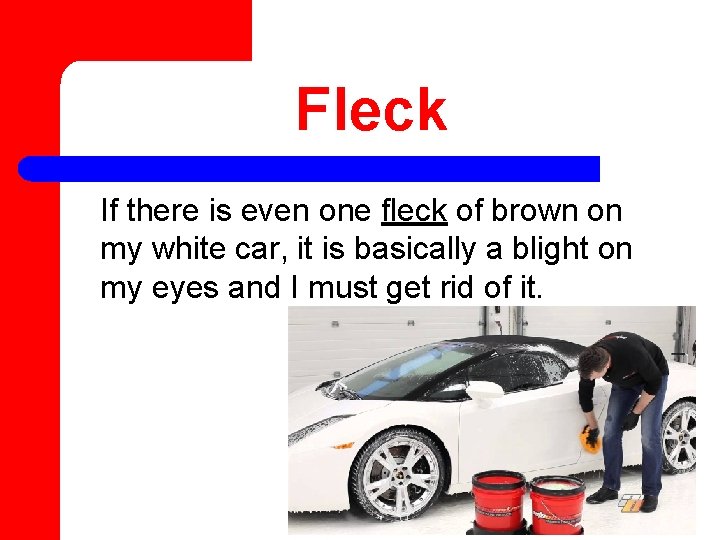 Fleck If there is even one fleck of brown on my white car, it