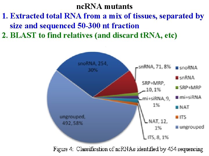 nc. RNA mutants 1. Extracted total RNA from a mix of tissues, separated by