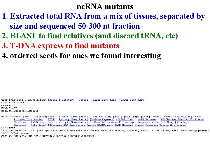 nc. RNA mutants 1. Extracted total RNA from a mix of tissues, separated by