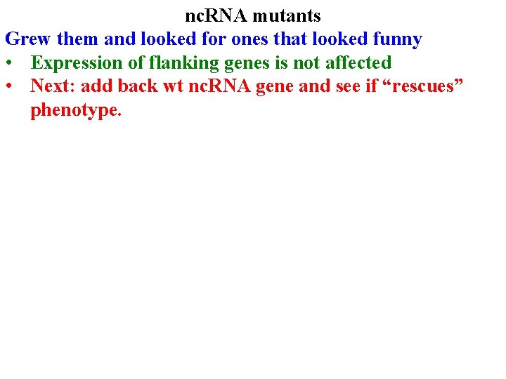 nc. RNA mutants Grew them and looked for ones that looked funny • Expression