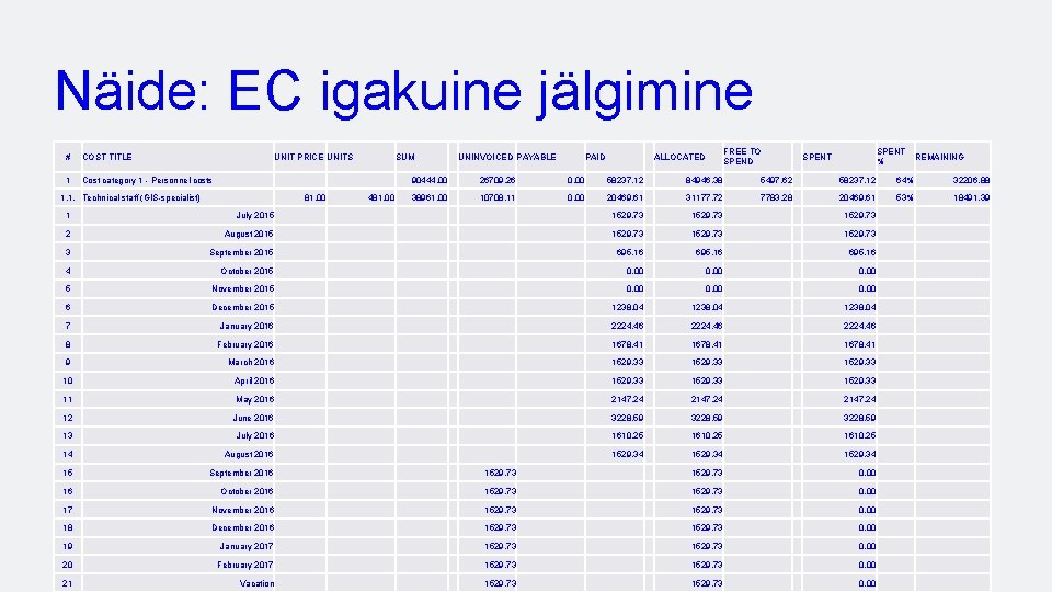 Näide: EC igakuine jälgimine # COST TITLE UNIT PRICE UNITS 1 Cost category 1