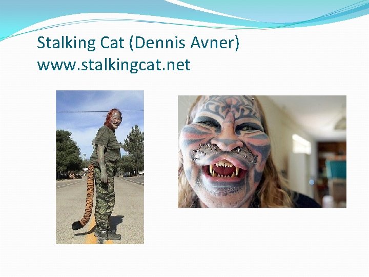 Stalking Cat (Dennis Avner) www. stalkingcat. net 