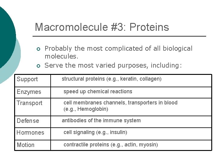 Macromolecule #3: Proteins ¡ ¡ Support Probably the most complicated of all biological molecules.
