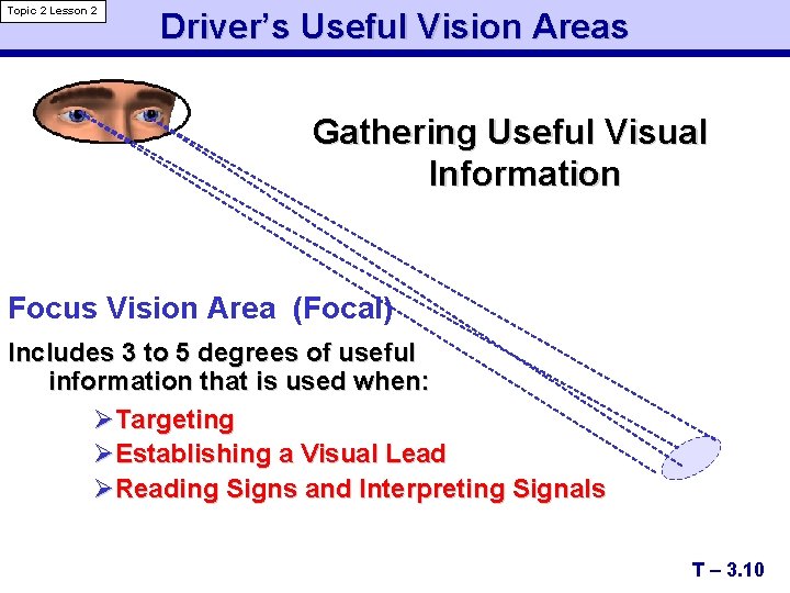 Topic 2 Lesson 2 Driver’s Useful Vision Areas Gathering Useful Visual Information Focus Vision